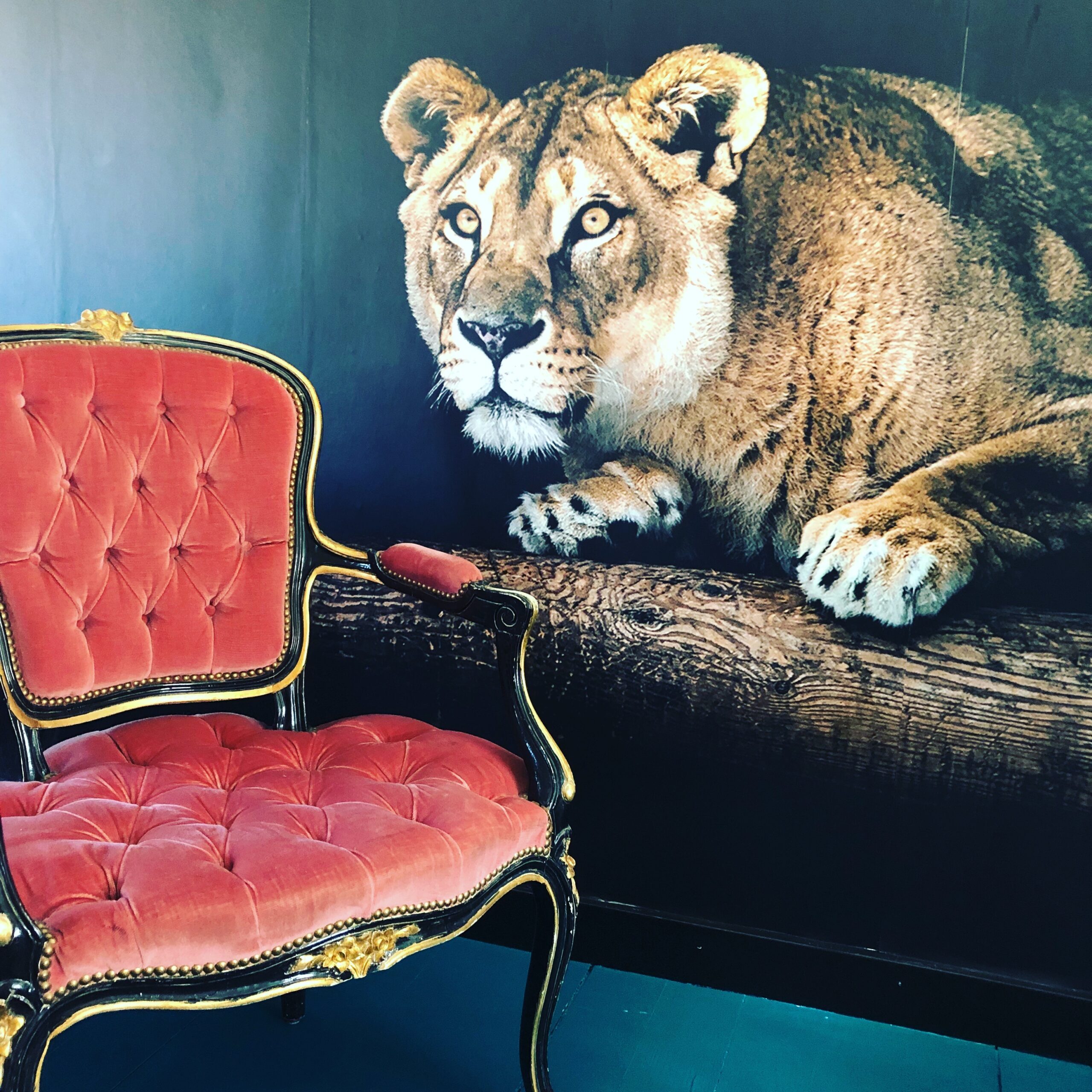 FORSIDE INDRETNING KØBENHAVN